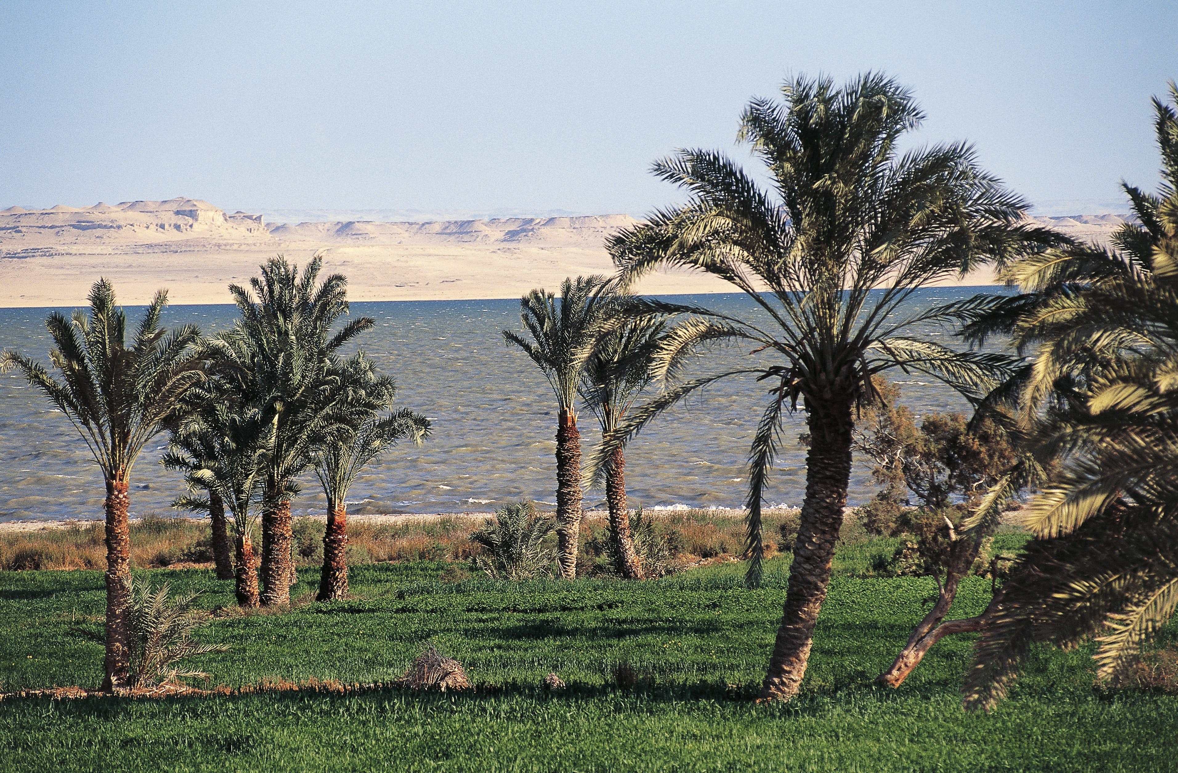 Fayoum Family day tour